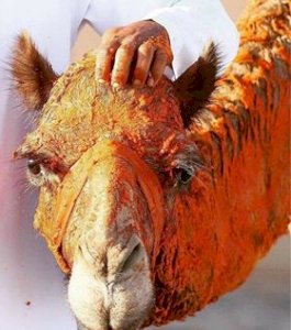 خدمات للعمال وللمؤسسات