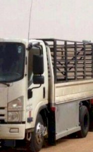 خدمة نقل عفش دينا للايجار بسواق
