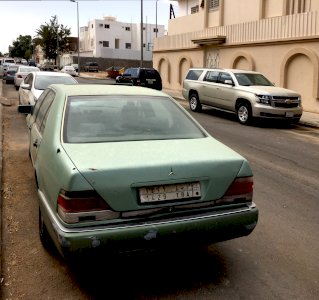 تبوك المهرجان