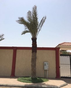 للبيع استراحة مناسبات