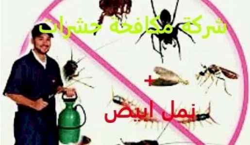 المركز الألماني لمكافحة الحشرات بجدة