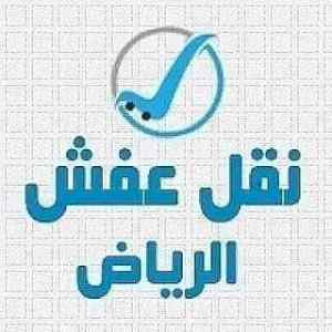دينا نقل عفش خارج الرياض لي للجيزان خميس ابها