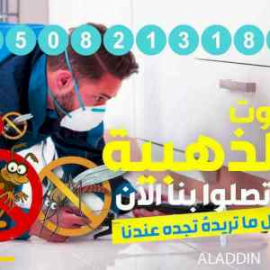 شركة مكافحة البعوض بالمدينةالمنورة 0590619062