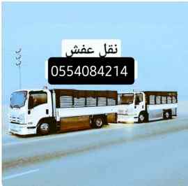 دينا نقل عفش حي السلي 0554084214