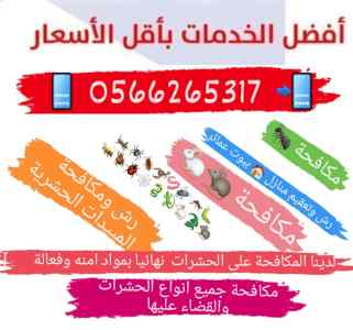 شركة رش البق بالمدينة المنورة 0566265317