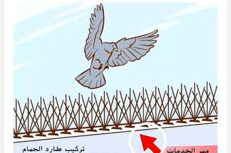 شركة تركيب اشواك منع طيور بالمدينة المنورة 