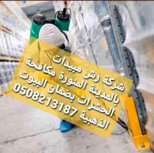 شركة رش الحشرات بالمدينة المنورة 0508213187