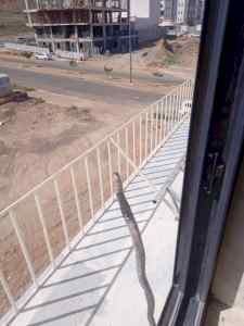#حداد#لحام#متنقل#بالمدينه#المنو#0534271179