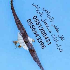 دينا نقل عفش 0556943396 البديعة،طش،حقين،ونيت