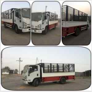 دينا ونيت نقل عفش شرق الرياض 0557841804