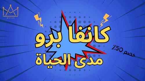 اشتراكات كانفا برو مدى الحياة - خصم 50%
