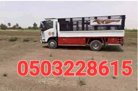 دينا نقل عفش حي ظهرة 0503228615