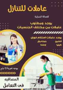 يوجد ومطلوب عاملات وطباخات للتنازل 