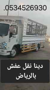 دينا مشاوير خارج الرياض 0534526930 