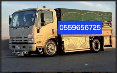 دينا طش الاثاث القديم شمال الرياض ٠٥٥٩٦٥٦٧٢٥ 